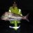 North mole pink snapper